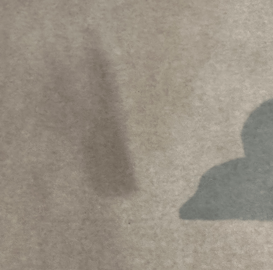 Série rato do rei I, S. título . 2025-1